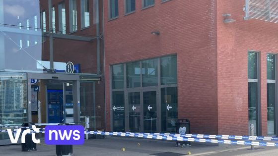 Politie arresteert 7-tal mensen na steekincident aan station Brugge: "Niet duidelijk of het daders of slachtoffers zijn"