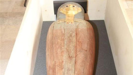 Brussels parket geeft meer dan 3000 jaar oude sarcofaag terug aan Egypte
