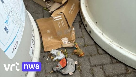 Sluikstorter in Glabbeek laat zich betrappen door pakje achter te laten met eigen adres op 