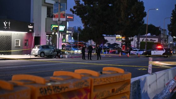 Vehicle crashes into crowd in Los Angeles; 2 dozen injuries reported