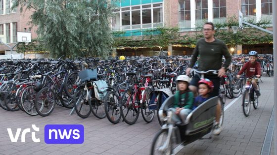 Stad verhoogt aantal fietsplaatsen op Gentse Feesten en vraagt om geen verkeersborden te vernielen