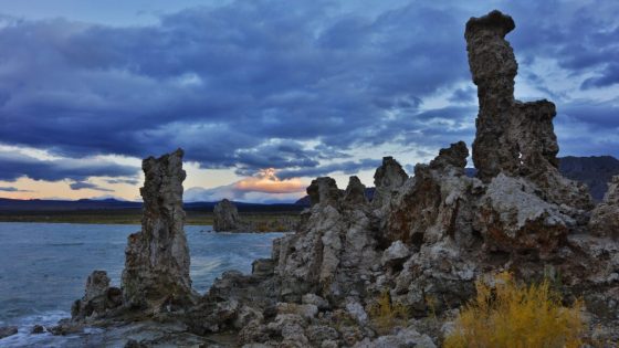 Widely panned arsenic life paper gets retracted—15 years after brouhaha