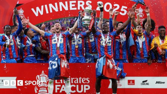 Crystal Palace beat Manchester City to win the FA Cup last season
