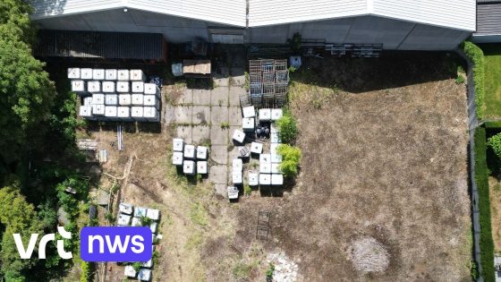 Evergem laat 140 chemische vaten verwijderen na lek op Calcutta-site: "Zolang we niet weten wat erin zit..."