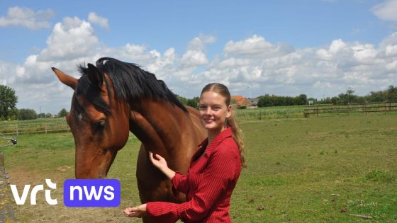Van bso naar diergeneeskunde, Jana uit Lo-Reninge slaagt voor ingangsexamen: "Mijn leerkrachten hadden geen vertrouwen"