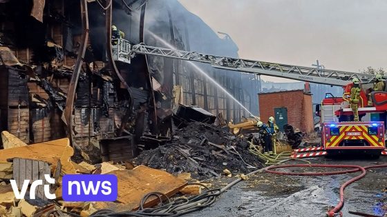 Brand van 2 weken geleden in diepvriesgroentenbedrijf in Staden flakkert weer op
