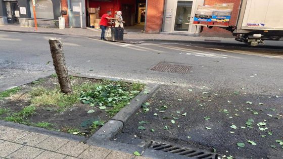 Bomen vernield in Helmetwijk: politie pakt verdachte op met zaag in de hand