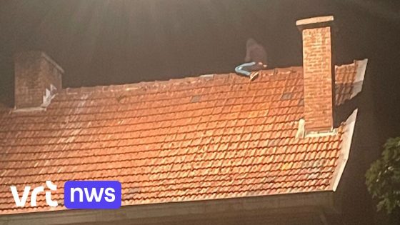 Hij stak zijn vrouw in brand en viel uiteindelijk zelf van een dak: hoe kon het zo fout lopen bij een gezin in Houthalen-Helchteren? Een reconstructie 