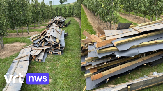 Complete dakconstructie gedumpt in perenplantage in Mopertingen: "Het laagste van het laagste"