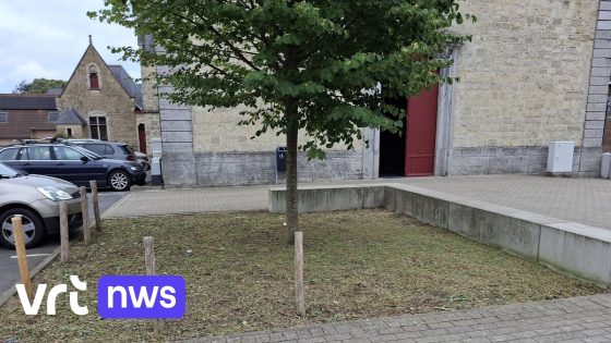 Jobstudent maait iets te enthousiast bloemenperkjes leeg in
Oudegem: “Het gaat om een misverstand”