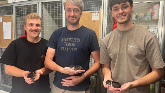 Kempense papierophalers redden vijf kittens van twee dagen oud van vreselijke dood: “Net op tijd op noodstop geduwd”