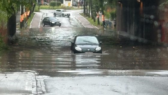 Ondergelopen kelders en straten door hevige buien in regio Kortrijk - Focus en WTV