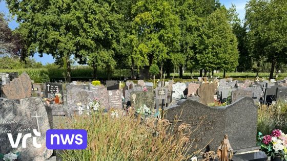 Liedekerke gaat grassen en bloemen op kerkhof alweer maaien: "Het ziet er niet uit"