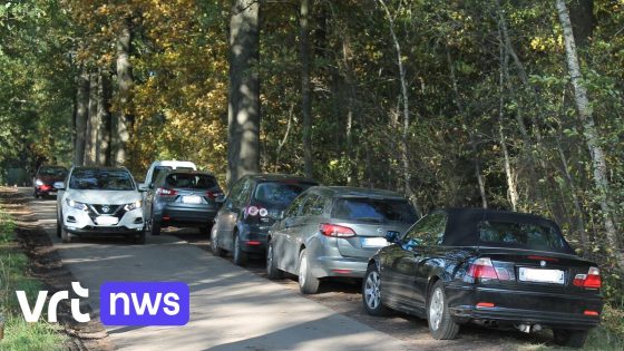 Maldegem blokkeert knip Drongengoedweg: Agentschap Natuur en Bos blaast mobiliteitsplan af