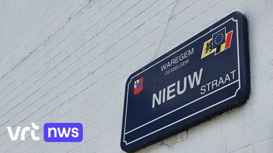 Man (28) schiet per ongeluk oudere broer neer in Desselgem: slachtoffer zwaargewond