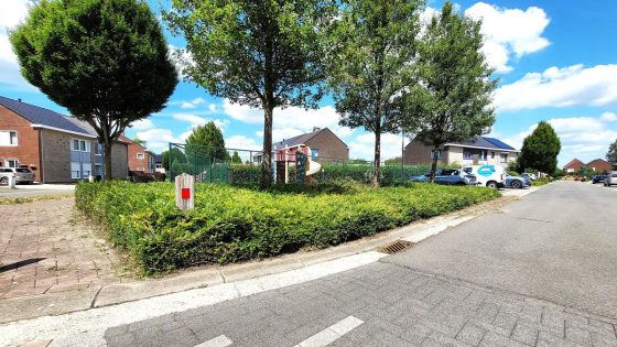 Man (49) naar ziekenhuis na steken van hoornaar: gemeente op zoek naar nest