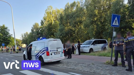 Man even bewusteloos na gevecht aan strand Hofstade: "We voelden het een beetje aankomen" 