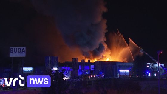 Uitslaande brand bij bedrijf dat opslagruimtes verhuurt in Westerlo