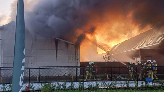 Zware brand in loods langs achterzijde van meubelmakerij: brandweer snelt massaal ter plaatse