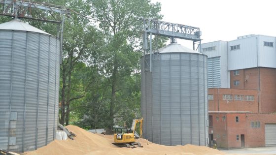 Graansilo scheurt plots open: 800 ton tarwe stroomt op bedrijfsterrein en deels in beek