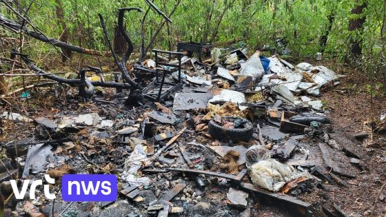 Berg gedumpt afval vliegt in brand in bos in Geel: brandweer had het vuur snel geblust 