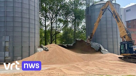 Silo scheurt open in Maarkedal: 800 ton graan belandt op bedrijfsterrein en in beek