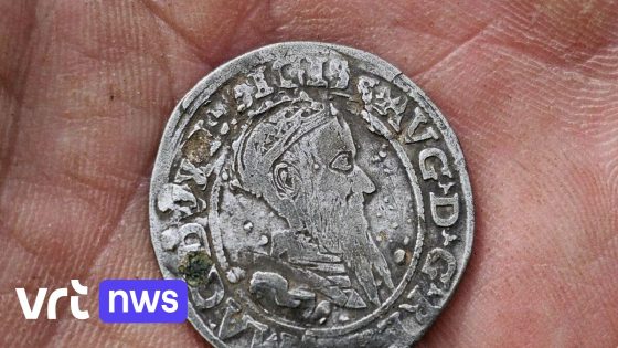 Metaaldetectoristen vinden Romeinse mantelspeld, 15e-eeuwse munten en revolver in Bree: ook bijna 8 ton afval opgeruimd