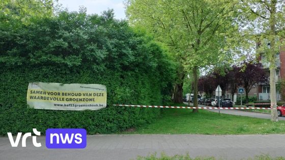 Stad Mortsel wil geen nieuwe fietsostrade op groene zone in Saffierstraat: "Nodeloze bomenkap waar fietsstraat ook kan"