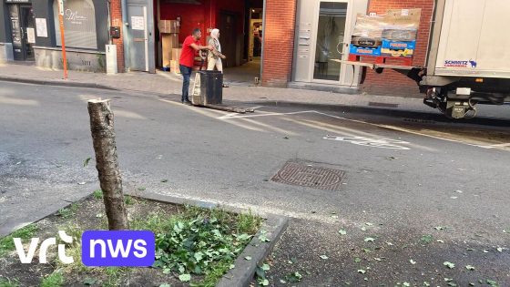 Meerdere bomen vernield en beschadigd in Schaarbeek: politie pakt verdachte op met zaag in de hand