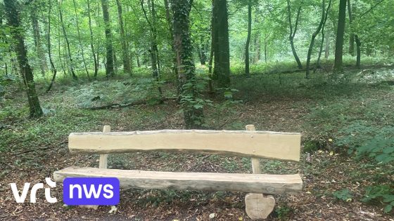 Mysterie in Halle: 3 zitbanken van elk 200 kilogram verdwenen in Hallerbos