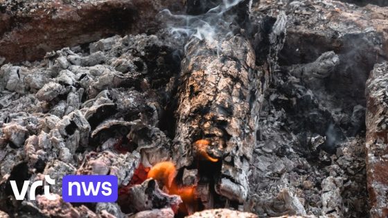 Tuinbrand in Leuven nadat nalatige arbeiders aangestoken vuur onvoldoende hebben gedoofd