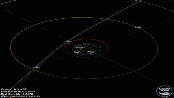 Interstellar object: Inner solar system orbits of planets with blue line straight through for visitor.