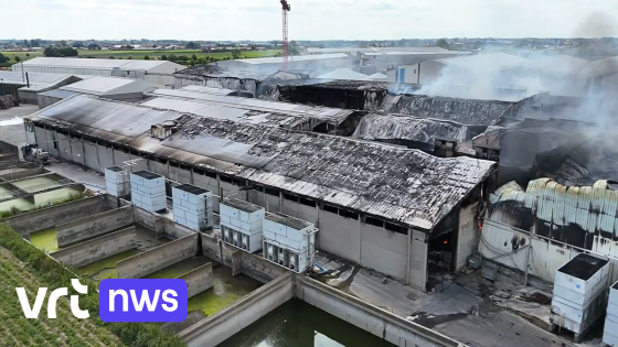Geen kwaad opzet bij zware bedrijfsbrand in Westrozebeke, provinciaal rampenplan beëindigd
