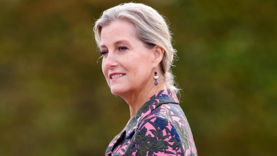 Palace Shares Striking Solo Photo of Duchess Sophie