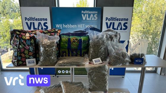 Politie VLAS rolt drugsnetwerk op tijdens huiszoekingen in West-Vlaanderen en Spanje: "Zware slag voor drugshandel in regio"
