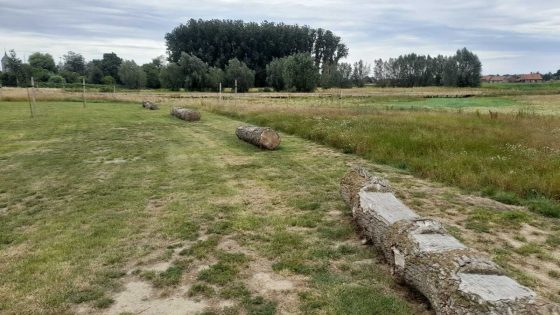 Provinciedomein Ledegemse Meersen geopend | Focus en WTV