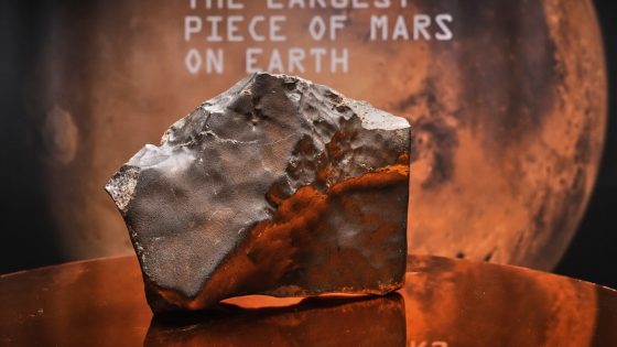 Alien rock from Mars fetches nearly $5.3 million at auction