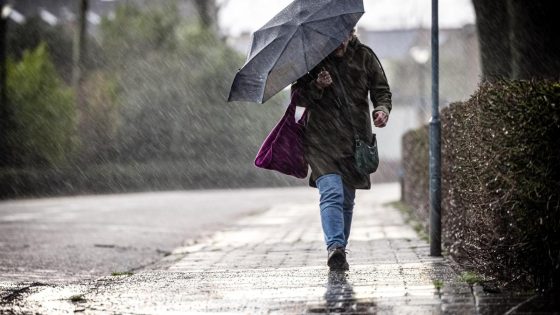 Weerbericht - Warm en zonnig begin van het weekend, onweer op komst - Nieuwsblad