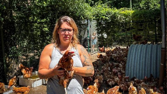 Schrijnend geval van dierenverwaarlozing bij duizend kippen: “Veel dieren zijn ziek, de toestand is ernstig”