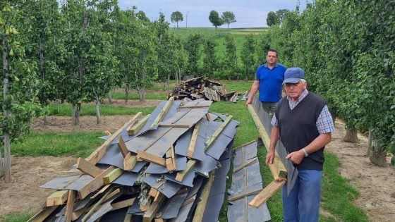 Zondagnacht heeft een onverlaat een enorm sluikstort met een complete dakconstructie achtergelaten tussen een perenplantage in Mopertingen