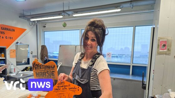 Grotere aanvoer garnalen doet prijzen dalen aan vistrap in Oostende: "Nu 25 euro voor 2 kilo, we zijn opgelucht"