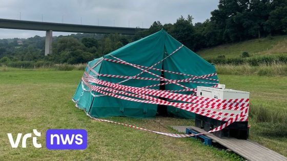 Jongeren uit Steenokkerzeel krijgen te maken met vandalisme op kamp: "Tenten stukgesneden, materiaal gestolen"