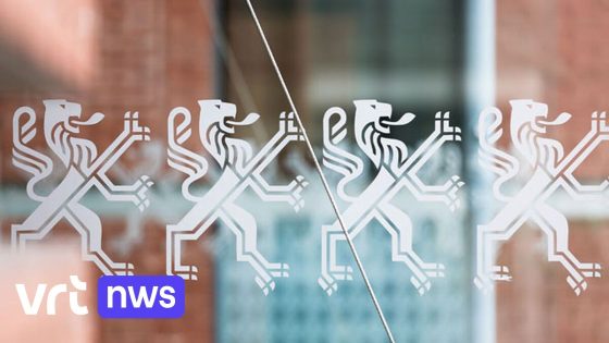Na oplopende factuur: strengere regels voor inhuren consultants door Vlaamse overheid