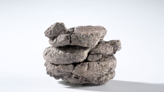 Dinosaur fossil found underneath a Denver museum’s parking lot