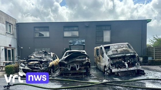 Drie auto's gaan in vlammen op in Gistel: "Morgen zou ik op vakantie vertrekken"