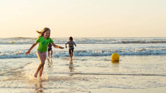 Opvallend veel giftige pietermannen aan Belgische kust: “Draag waterschoenen als je pijnlijke steek wil vermijden”