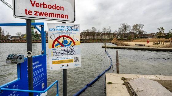 Man (47) verdrinkt in Gentse dokken: “Onderschat de gevaren niet van zwemmen op verboden plaatsen”
