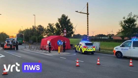 Stepper overleden bij ongeval met bus in Brecht