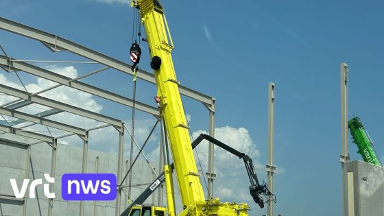 Man uit Ichtegem komt om bij arbeidsongeval in Harelbeke