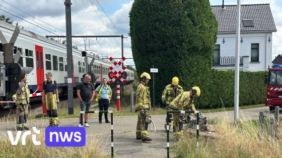 Trein botst op aanhangwagen in Halen, treinverkeer Diest-Hasselt enkele uren onderbroken - VRT